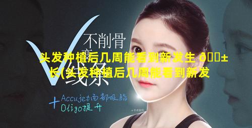 头发种植后几周能看到新发生 🐱 长(头发种植后几周能看到新发生长出 🐘 来)